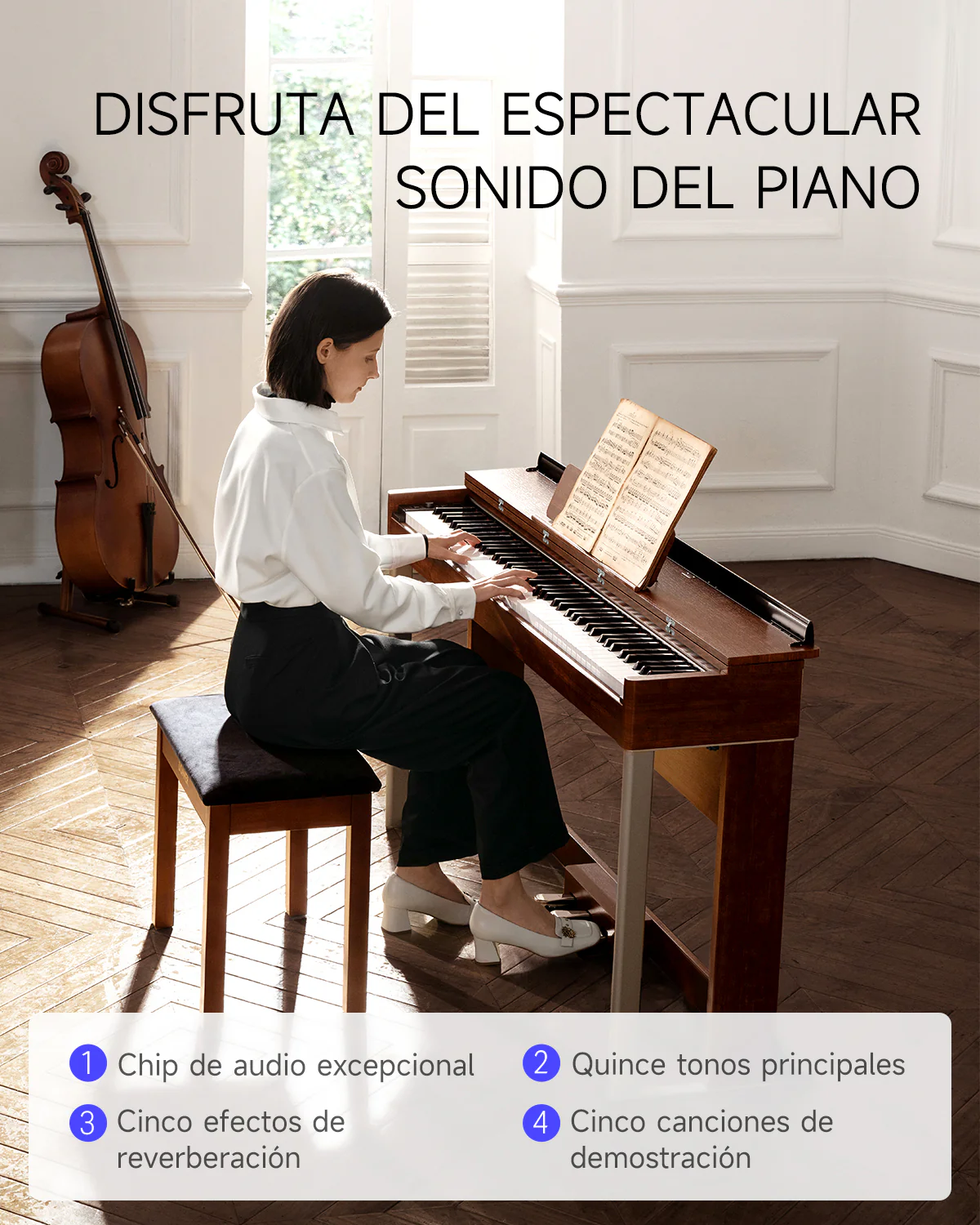 Imagen del producto 11