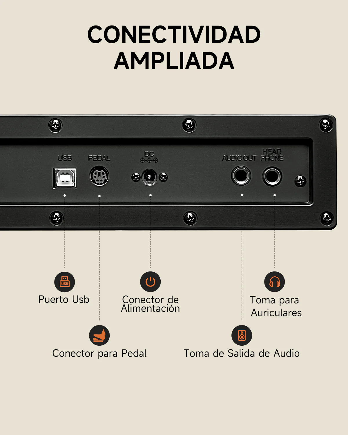 Imagen del producto 12