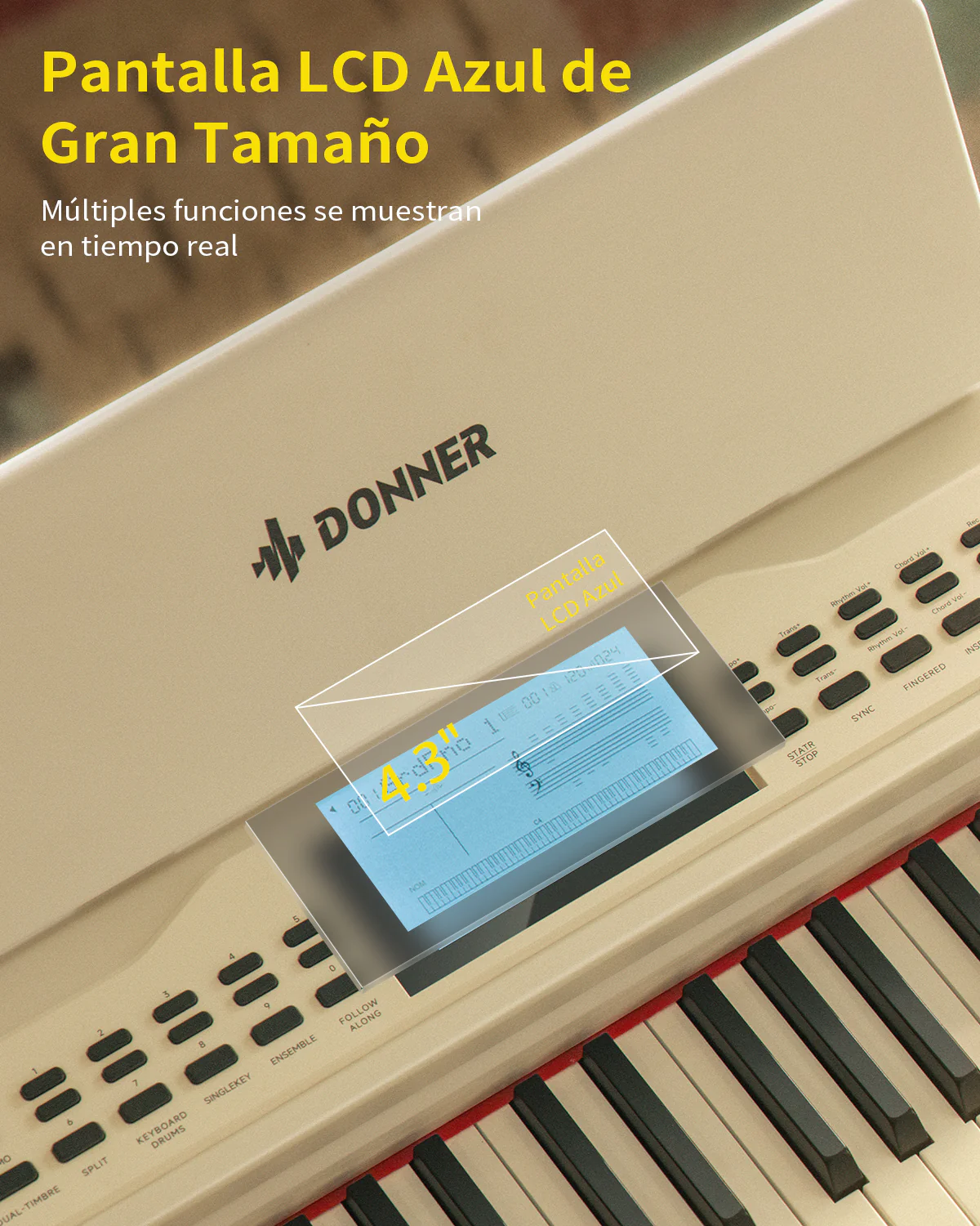 Imagen del producto 7